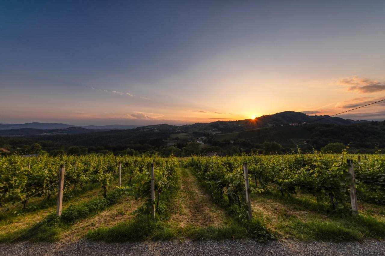 Hotel Weingut Reiterer Kitzeck im Sausal Zewnętrze zdjęcie