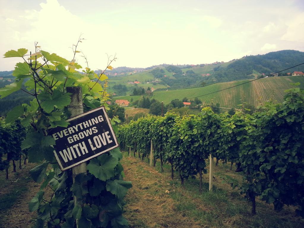 Hotel Weingut Reiterer Kitzeck im Sausal Zewnętrze zdjęcie