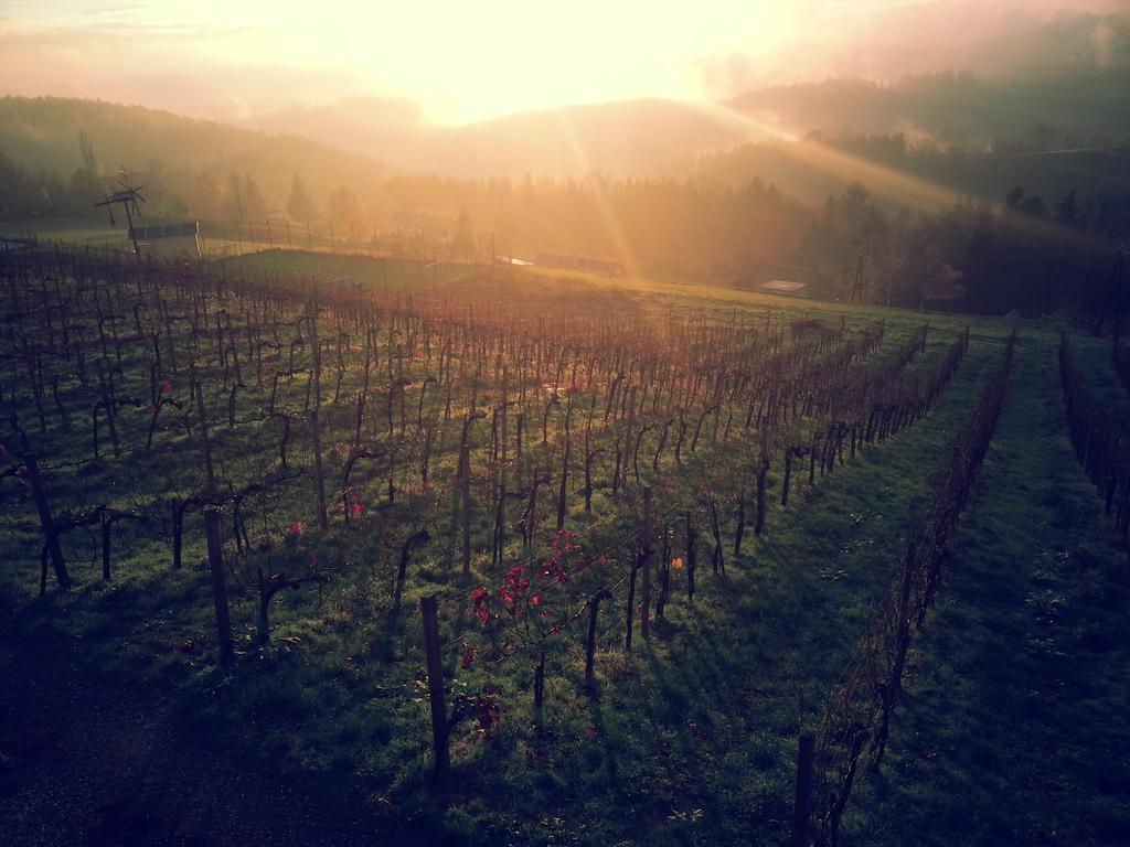 Hotel Weingut Reiterer Kitzeck im Sausal Zewnętrze zdjęcie